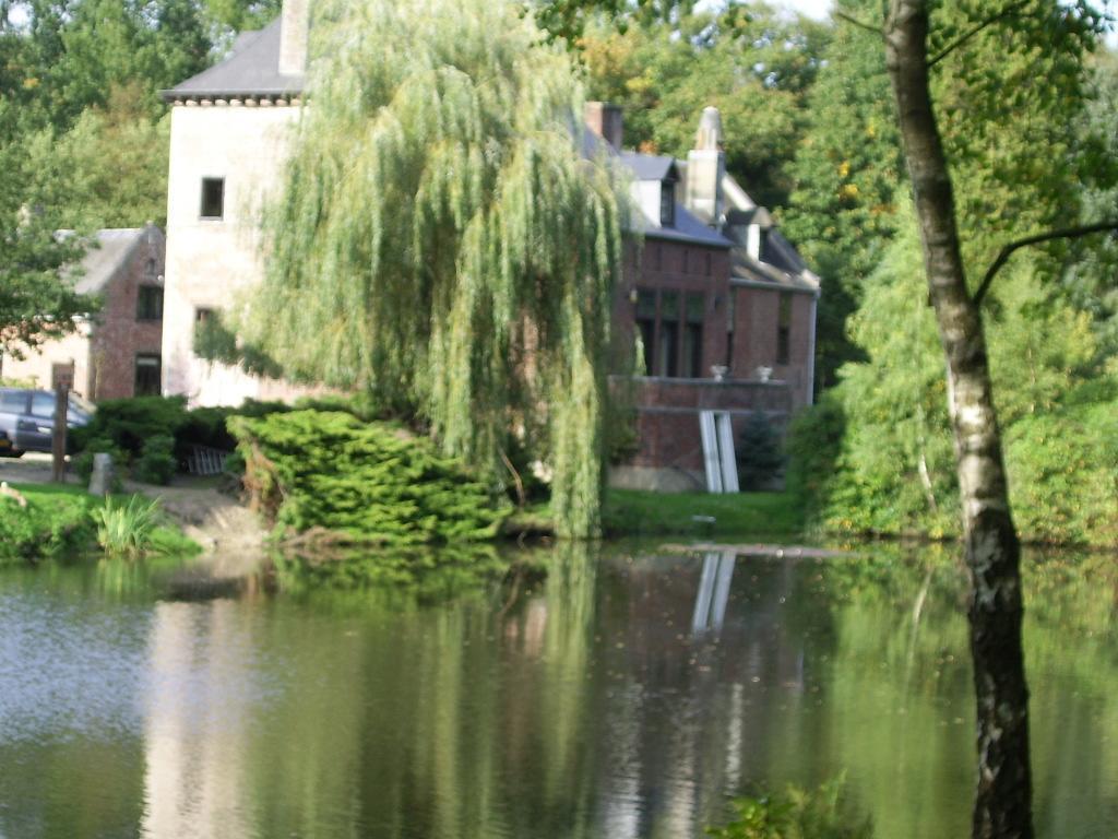 Bosbeekvallei Opoeteren Extérieur photo