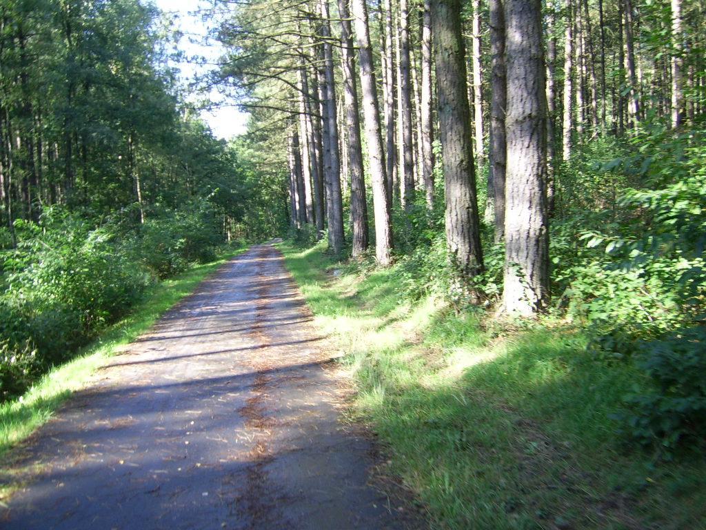 Bosbeekvallei Opoeteren Extérieur photo